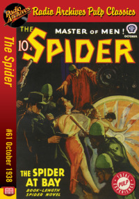 صورة الغلاف: The Spider eBook #61