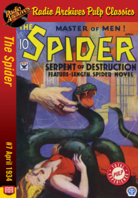 Imagen de portada: The Spider eBook #7