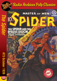 Cover image: The Spider eBook #73