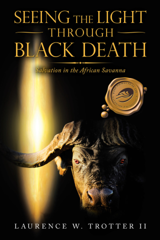 Cover image: Seeing the Light Through Black Death 9781698702131