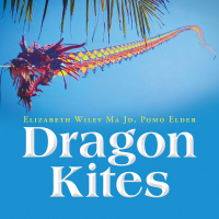 Cover image: Dragon Kites 9781698709826