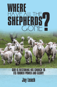 Cover image: Where Have All the Shepherds Gone? 9781698710969