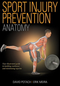 Cover image: Sport Injury Prevention Anatomy 1st edition 9781718208285