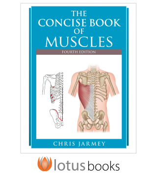 Cover image: The Concise Book of Muscles 4th edition 9781718245839