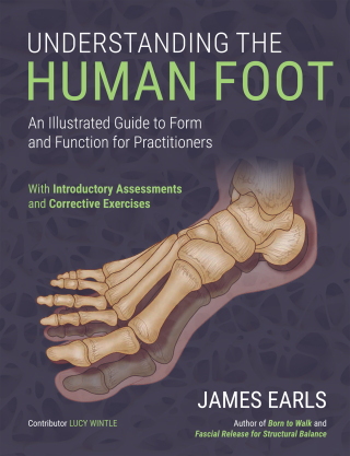 Imagen de portada: Understanding the Human Foot 1st edition 9781718245563