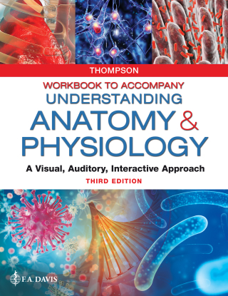 Titelbild: Workbook to Accompany Understanding Anatomy & Physiology 3rd edition 9780803676466