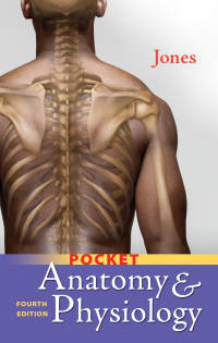 Cover image: Pocket A & P 4th edition 9781719642958