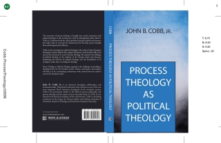 Imagen de portada: Process Theology as Political Theology 9781532602696