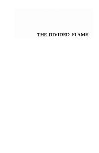 Imagen de portada: The Divided Flame 9781610976619