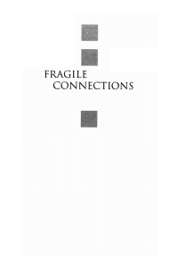 Titelbild: Fragile Connections 9781625645838