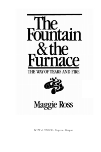 صورة الغلاف: The Fountain and the Furnace 9781625646958