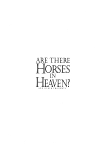 صورة الغلاف: Are There Horses in Heaven? 9781532642999