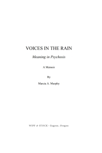 Cover image: Voices in the Rain 9781532654008