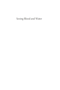 Cover image: Seeing Blood and Water 9781610979412