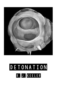 Titelbild: Detonation 9781725257047