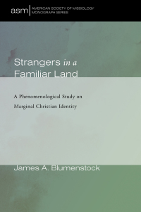 Cover image: Strangers in a Familiar Land 9781725259317