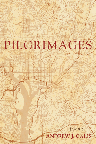 Titelbild: Pilgrimages 9781725259348