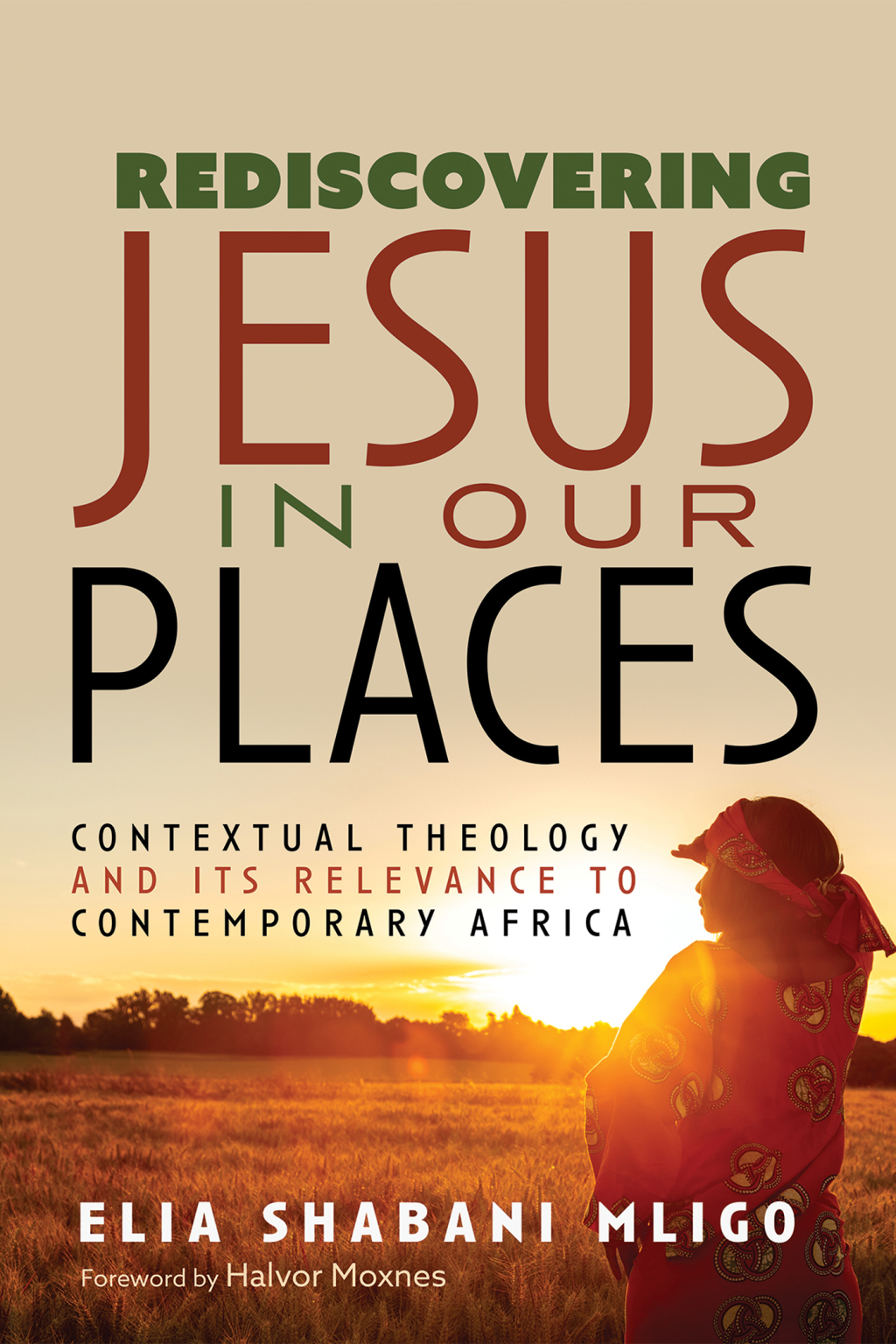 Rediscovering Jesus in Our Places Contextual Theology and Its Relevance to Contemporary Africa