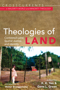 Omslagafbeelding: Theologies of Land 9781725265066