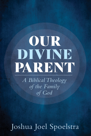 Cover image: Our Divine Parent 9781725267626