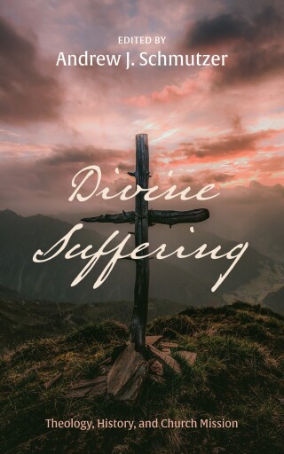 Cover image: Divine Suffering 9781725268272