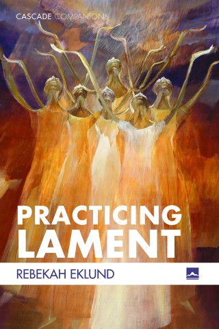 表紙画像: Practicing Lament 9781725272583