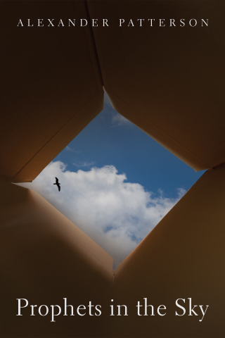 Cover image: Prophets in the Sky 9781725283053