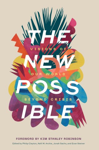 Cover image: The New Possible 9781725285835