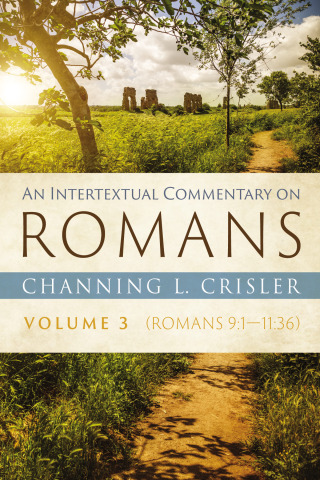 表紙画像: An Intertextual Commentary on Romans, Volume 3 9781725288058