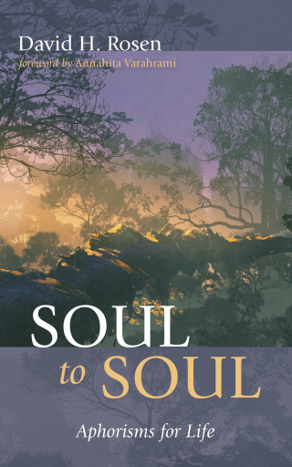 Titelbild: Soul to Soul 9781725295735