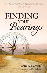 Cover image: Finding Your Bearings 9781725295889
