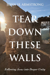 Cover image: Tear Down These Walls 9781725298071