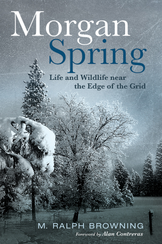 Cover image: Morgan Spring 9781725298613