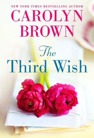 Imagen de portada: The Third Wish 9781728242767