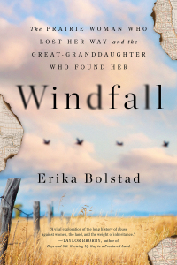 Cover image: Windfall 9781728246932