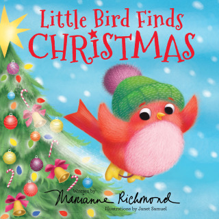Imagen de portada: Little Bird Finds Christmas 9781728254456