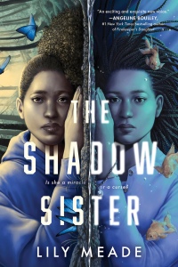 表紙画像: The Shadow Sister 9781728264479