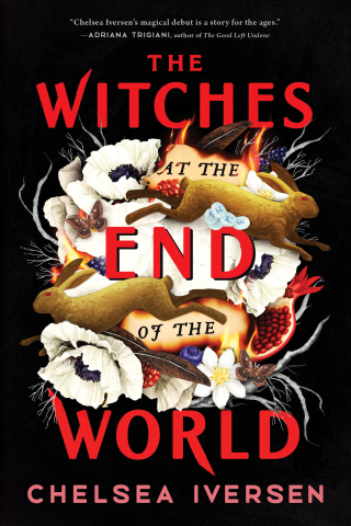 表紙画像: The Witches at the End of the World 9781728275789