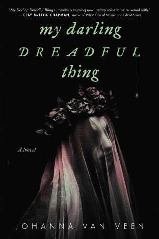 Cover image: My Darling Dreadful Thing 9781728281544