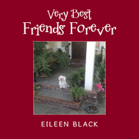Imagen de portada: Very Best Friends Forever 9781728303925