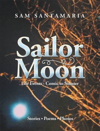 Imagen de portada: Sailor Moon 9781728321066