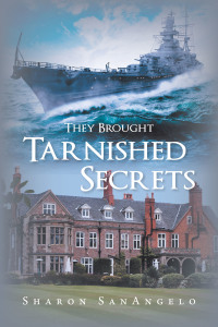 Cover image: They Brought Tarnished Secrets 9781728324753