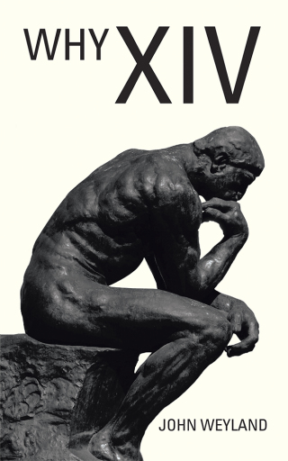Cover image: Why Xiv 9781728329734