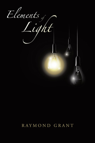 Cover image: Elements of Light 9781728332857