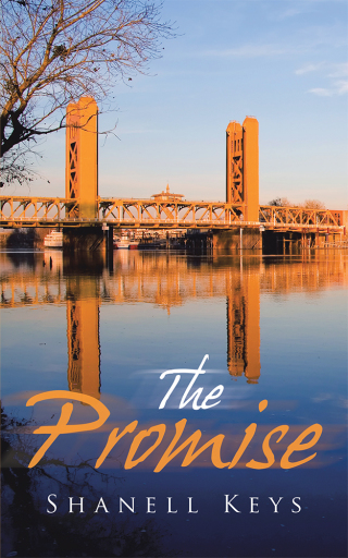 Imagen de portada: The Promise 9781728341415