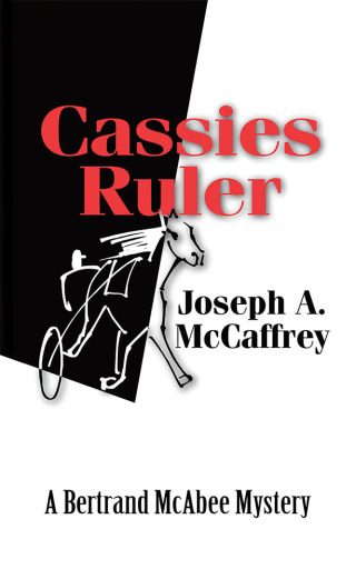 Cover image: Cassies Ruler 9781728341729