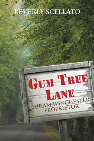 Imagen de portada: Gum Tree Lane 9781728343877