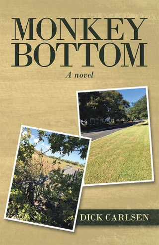 Cover image: Monkey Bottom 9781728345284
