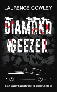 Cover image: Diamond Geezer 9781728352305