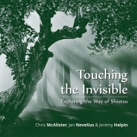 Imagen de portada: Touching the Invisible 9781728352480